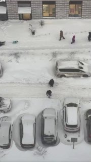 Иллюстрация 1