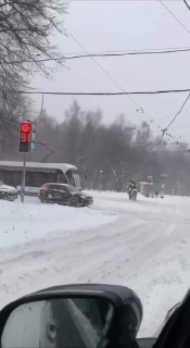 В Москве из-за циклона катаются на собаках и лошадях
