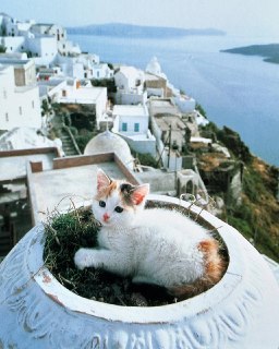 Иллюстрация 5