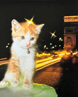 Иллюстрация 7