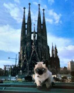 Иллюстрация 8