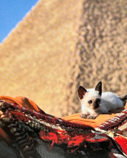 Иллюстрация 9