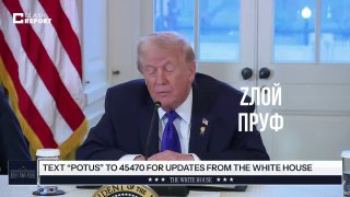 Доня хочет Нобелевку и предлагает похитить Нобелевский наркокартель