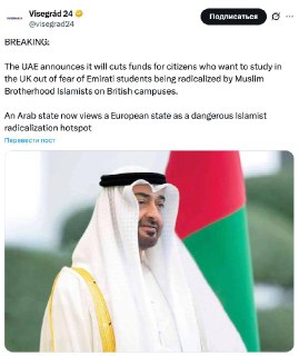 ОАЭ прекращают финансирование обучения в Британии из-за радикализации