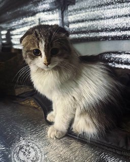 Иллюстрация 5