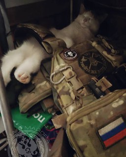 Иллюстрация 7