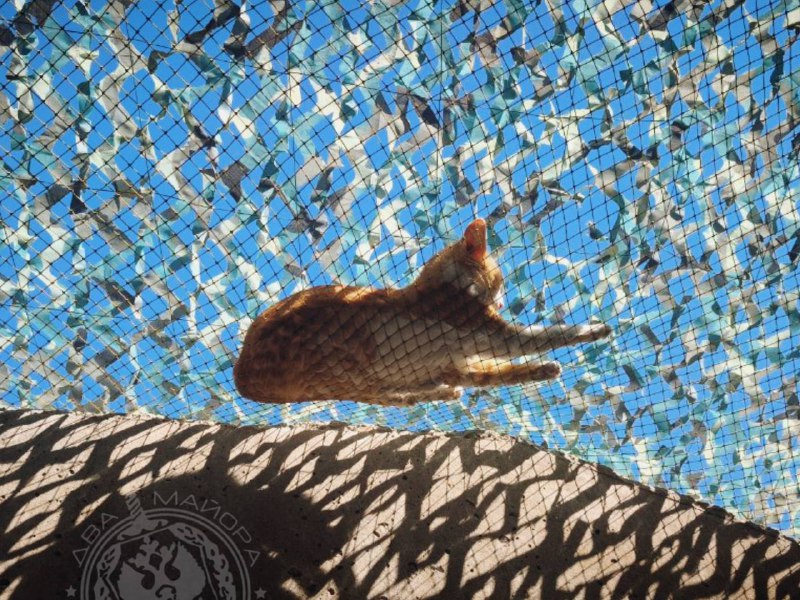 Иллюстрация 8