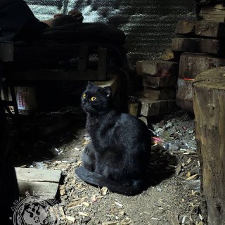 Иллюстрация 9