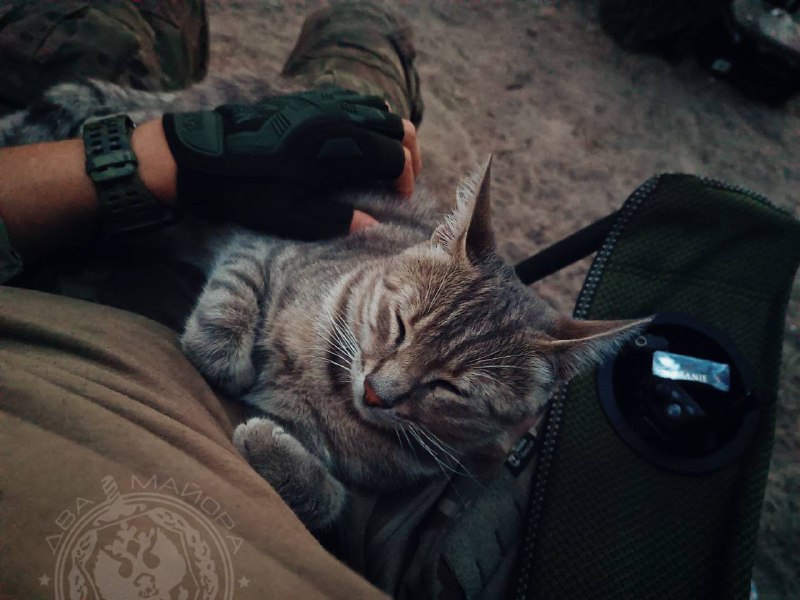 Иллюстрация 10