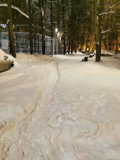 Автор критикует прогнозы погоды