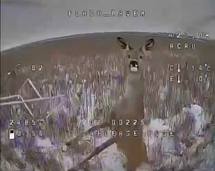 Иллюстрация 1