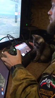 Собаки-операторы дронов в зоне СВО