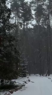 Пожелание от фронта