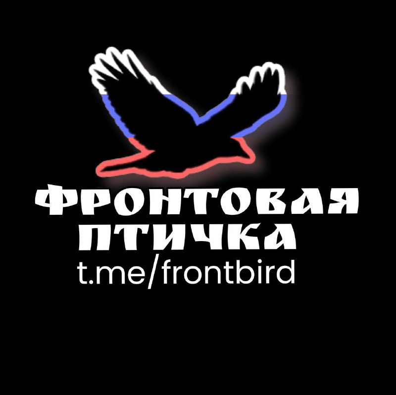 Прогноз боевых действий на январь от офицера ВДВ