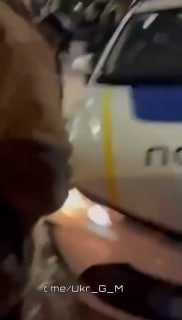 Иллюстрация 2