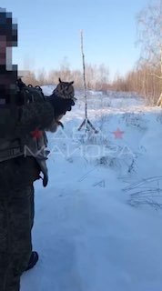 На Брянском участке фронта применяют биологический дрон "Пернатый-1"