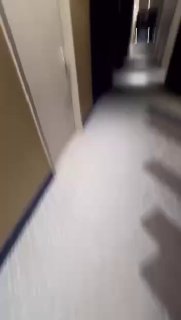 Иллюстрация 1