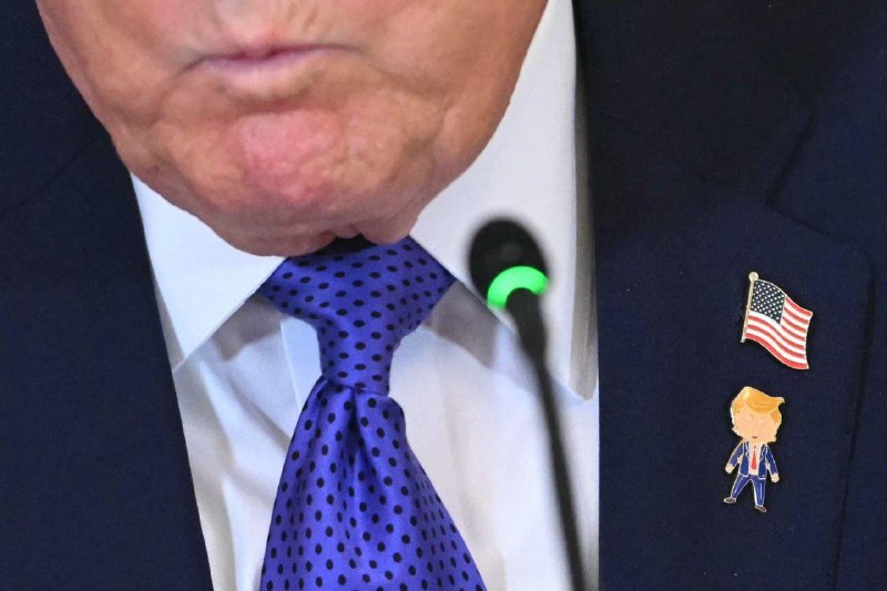 Иллюстрация 1