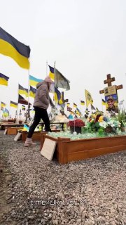 Иллюстрация 5