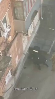 Иллюстрация 3