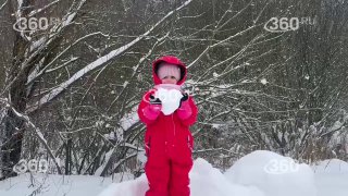 Иллюстрация 1