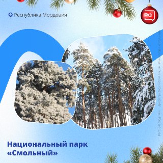 Иллюстрация 4