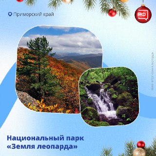 Иллюстрация 8