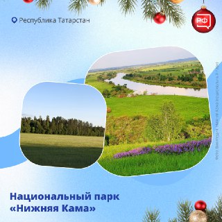 Иллюстрация 1