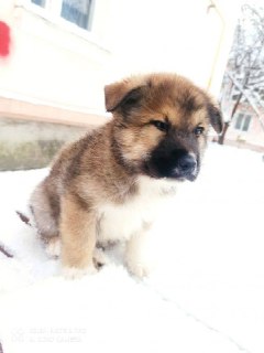 Иллюстрация 2