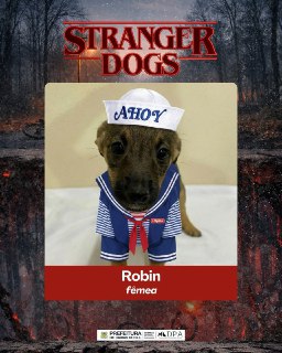 Иллюстрация 6