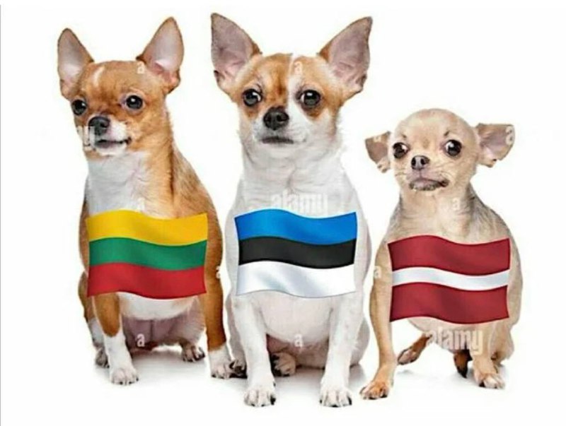 Прибалтийская тишина: почему их нет в политических дискуссиях?