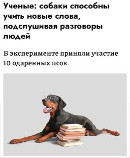 Собаки учат слова на слух