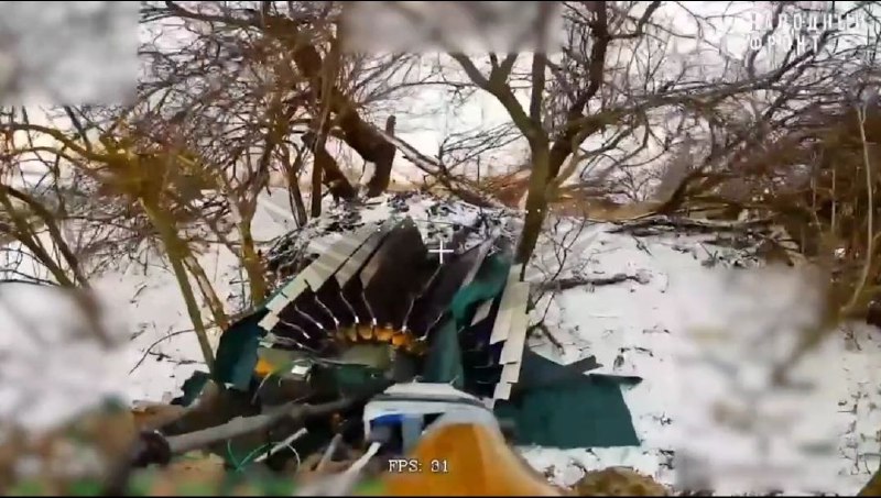 Иллюстрация 8