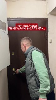 Иллюстрация 1