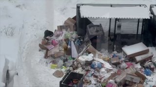 Иллюстрация 1